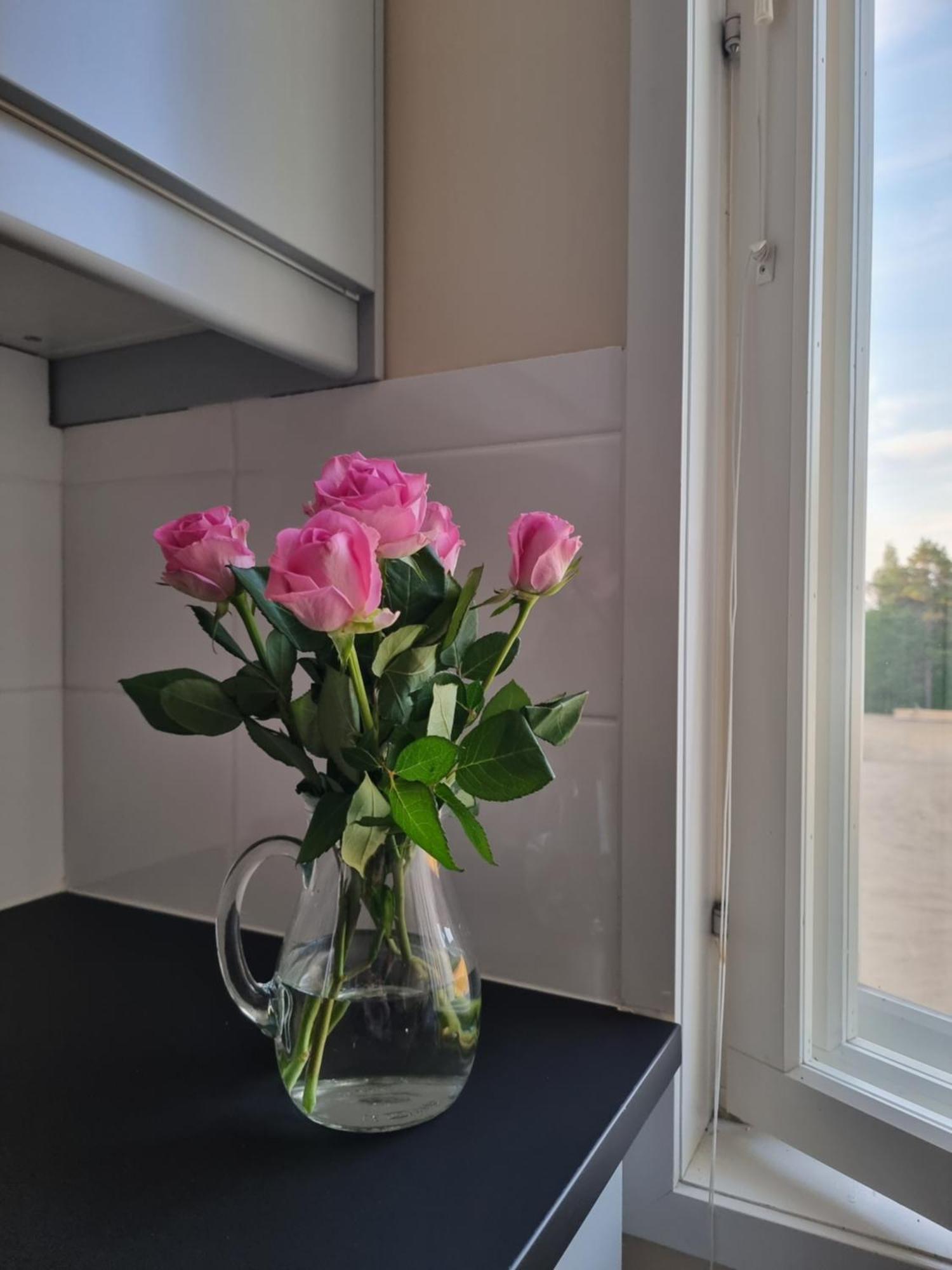Kuukkeli Ivalo Airport Inn Luaran gambar